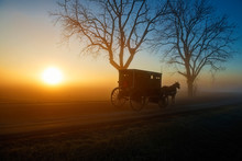 Amish Buggy At Sunrise With Sun On Horizon