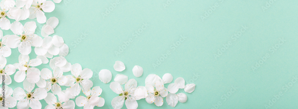 cherry flowers on paper background - obrazy, fototapety, plakaty 