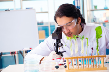 Male biotechnology scientist chemist working in the lab