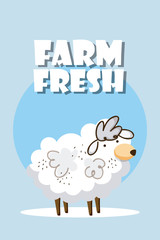 Poster - Farm fresh cartoons