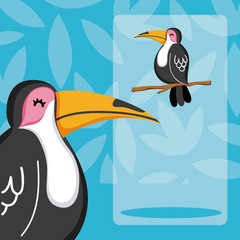 Sticker - Exotic birds cartoon