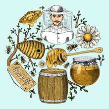 Honey Waxing Bee And Beehive Flyer. Poster Organic Honey And Apiary, Beehive And Chamomile Dessert Nutrition Vector Illustration.