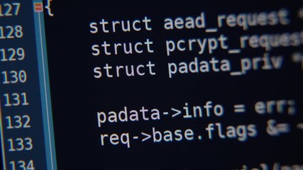 Wall Mural - the program code scrolls on the computer screen