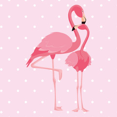 Poster - elegant flamingo birds couple dotted background