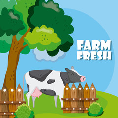 Poster - Farm fresh cartoons