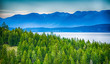 nature and scenes around flathead national forest montana