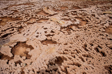 Landscape in Danakil