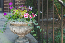 Close Up On A Decorative Flower Planter Set Outside An Urban Home Entrance.