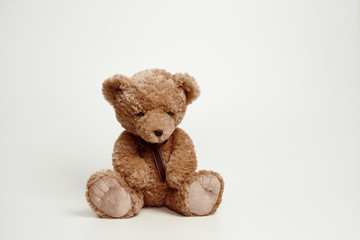 teddy bear isolated on white background.