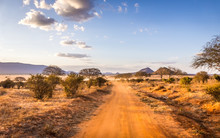 Safari Road In Kenya