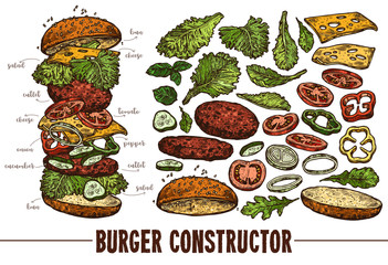 Hand drawn vector burger with ingredients. Sketch illustration of hamburger products components and elements. Constructor for fast food restaurant menu