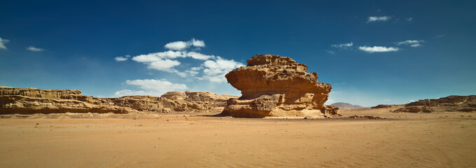 Nature and rocks of Wadi Rum or Valley of the Moon, Sphinx rock, desert, Jordan.