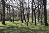Fototapeta Tęcza - Schlosspark Pillnitz, Schloss Pillnitz, Frühling, März, 2019