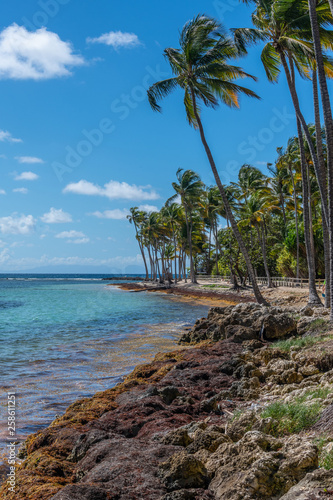 Plage De La Caravelle Guadeloupe Buy This Stock Photo And