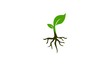 seed plant design logo