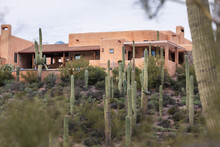 Classic Southwestern Country House Surrounded By Saguaro Cactus In Desert