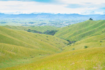 Canvas Print - Scenic Wither Hills landscapes