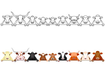 Wall Mural - various cattle heads in a row