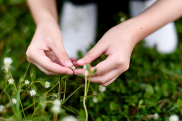 Flowe in kid hand in nature