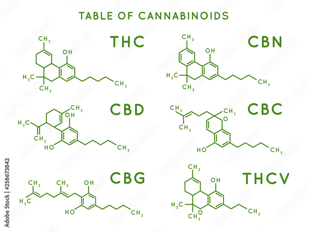 Cannabinoid structure. Cannabidiol molecular structures, THC and CBD formula. Marijuana or cannabis molecules vector illustration - obrazy, fototapety, plakaty 