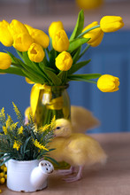Little Ducks And Tulip Bouquet