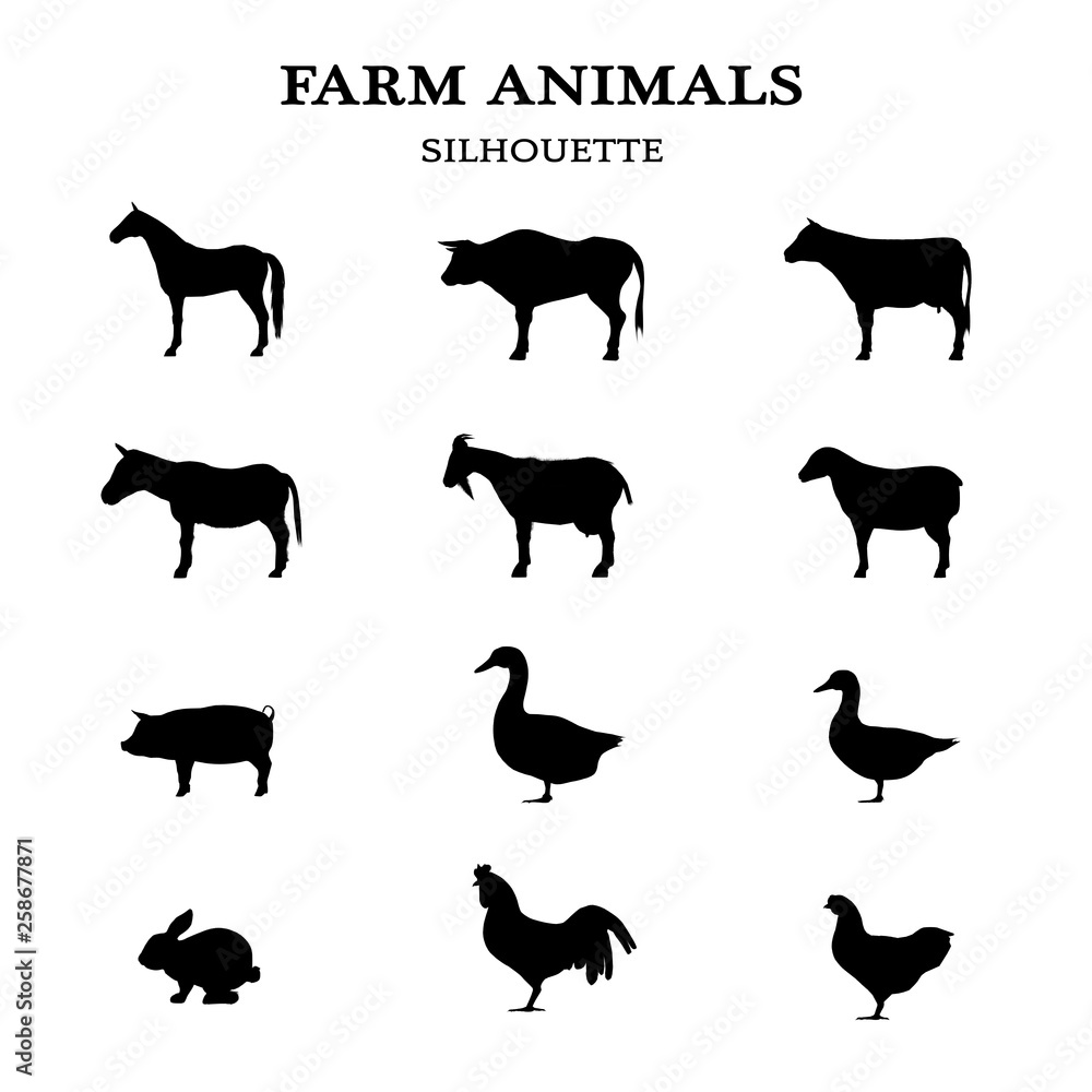 farm animals in a overview - black silhouette - isolated on white ...
