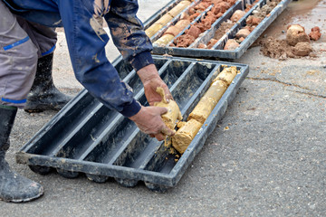 Driller obtaining soil samples in plastic box