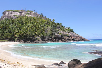 North island seychelles beach Indian Ocean palms