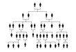 Complicated family tree of several generations on white