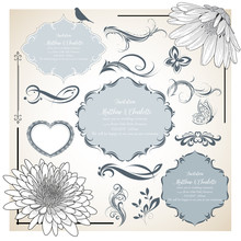 Set Of  Hand-drawing Calligraphic Floral Design Elements. Vector Illustration.