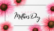 Vector illustration of mother's day greetings banner template with blooming gerbera flowers and hand lettering quote - happy mothers day