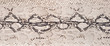 © Mr. Music - Black and white python skin texture