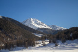 Fototapeta Konie - Alpen