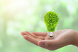 eco concept: variety of light bulbs with plant inside.hand holding eco light bulb, save energy concept