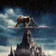 Man and an elephant pushing eachother and balacing on top of a peak in the rain.