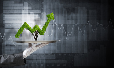 Wall Mural - Hand of waitress presenting growing graph on tray.