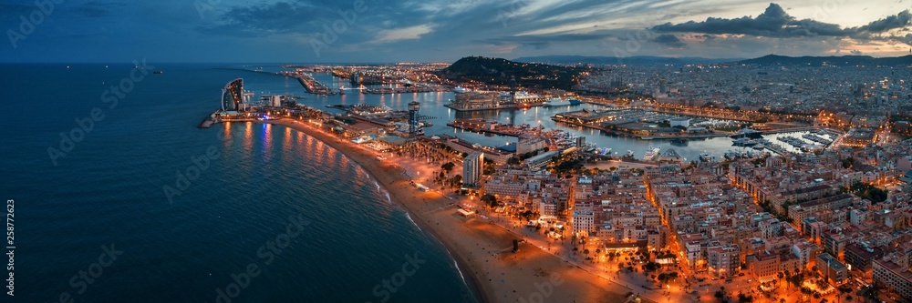Barcelona Coast aerial night view - obrazy, fototapety, plakaty 