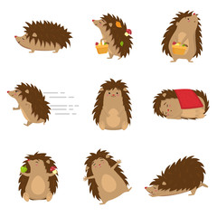 Cute hedgehogs in different poses set isolated on white background