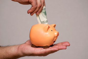 Wall Mural - Male hand putting 100 dollar bill into a piggy bank. Save money concept