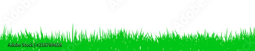 Green grass, field, nature background - for stock vector