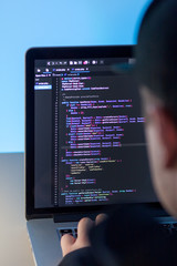 Wall Mural - programmer working on laptop computer in office