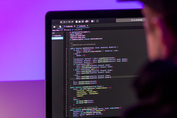 Wall Mural - programmer working on laptop computer in office