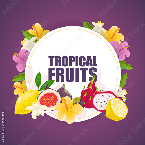 Tropical fruits banner, poster vector illustration. Exotic summer products su...