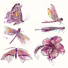 Poster - Collection of vector watercolor spring butterflies and dragonflies