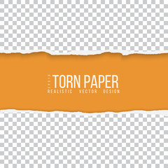Wall Mural - realistic vector torn paper border with space for your text