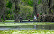 © Yan - People are enjoying canoing, boating and fishing in swamp