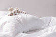 Branch with cotton flowers on pillow