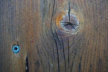 grunge texture of old weathered wood