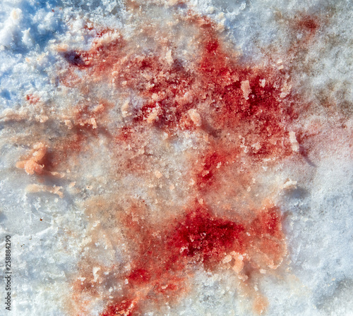 Red Blood On White Snow As A Background Buy This Stock - 
