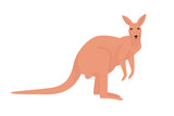 Fototapeta Dinusie - Cute kangaroo side view in flat style isolated on white background. Large Australian marsupial animal. Australian fauna. illustration